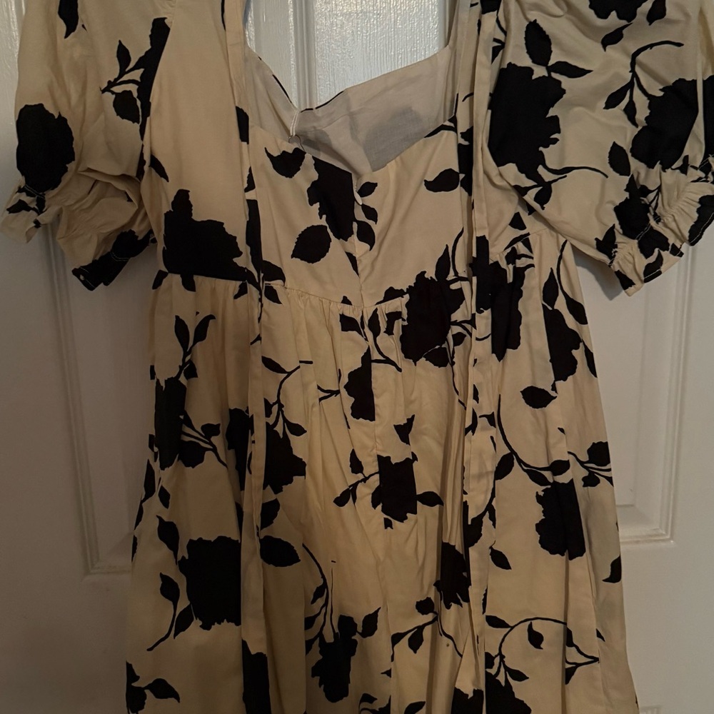 Sofia the Label  NWT Cream and Black Floral Mini Dress